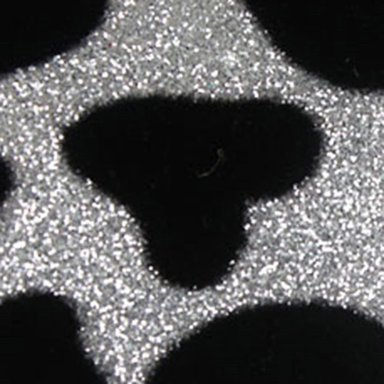 Muschelförmige Strass-leoparden-clutch